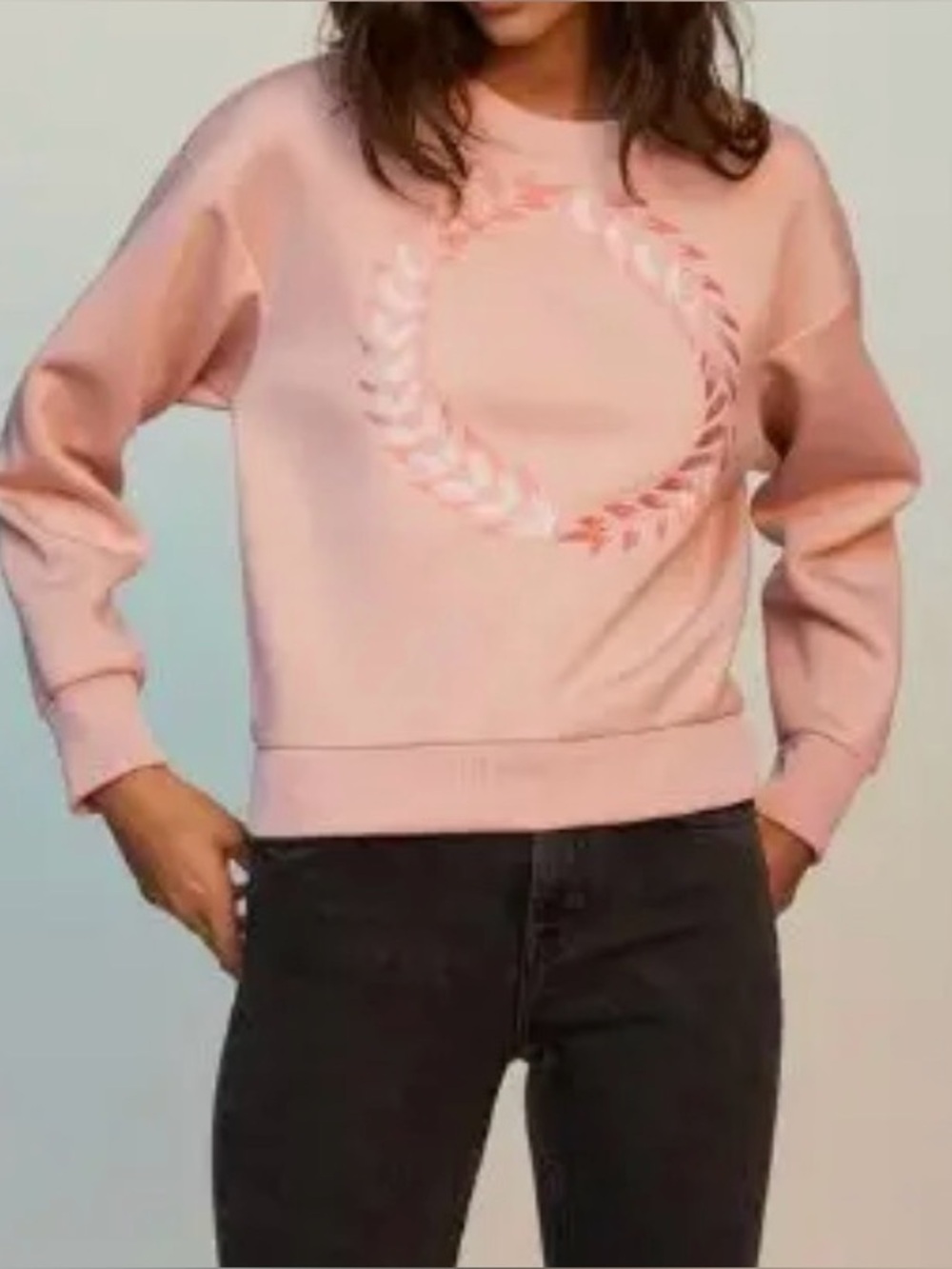 MAJE Sweatshirt Size Small Tornade Embroidered Jersey In Peche